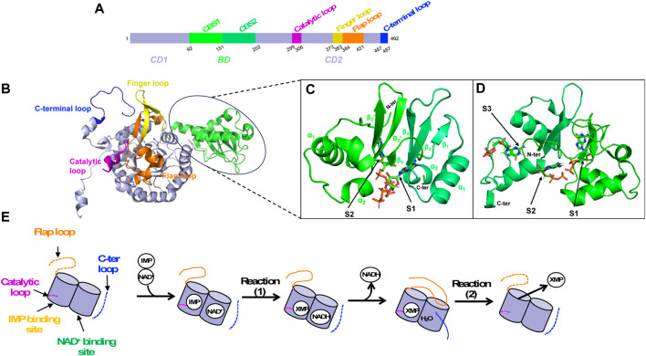 FIGURE 6