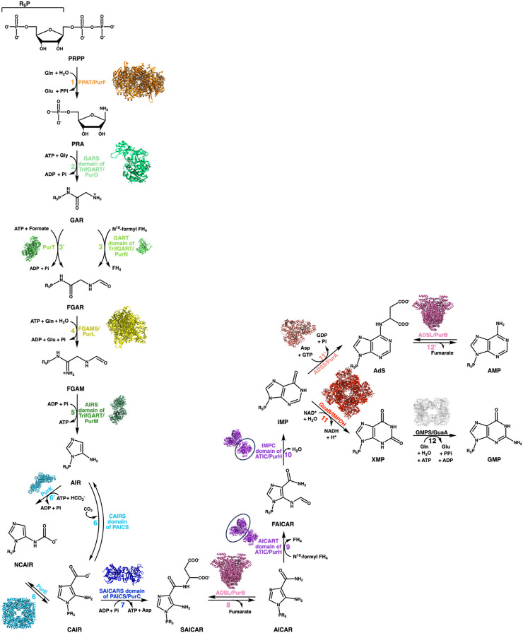 FIGURE 2