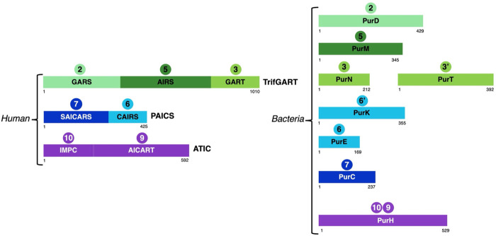 FIGURE 3