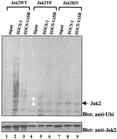 FIG. 9.