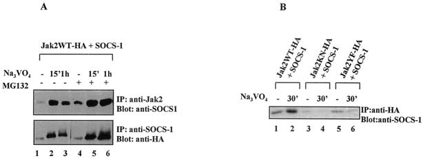 FIG. 6.