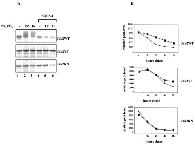 FIG. 7.