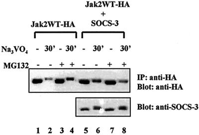 FIG. 8.