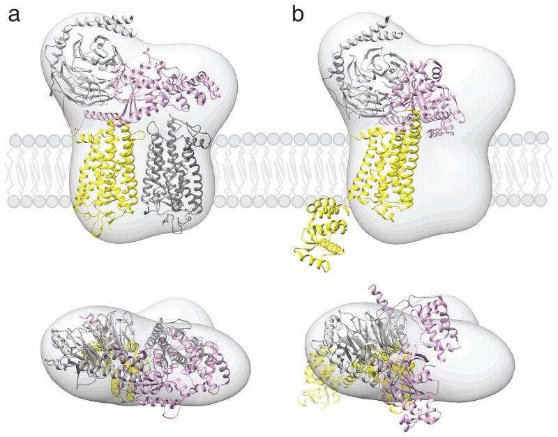 Fig. 3