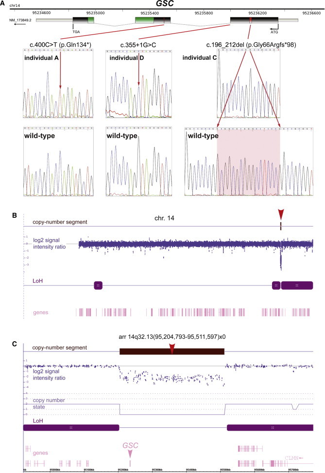 Figure 2