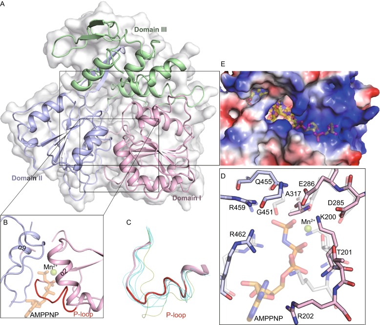 Fig. 2