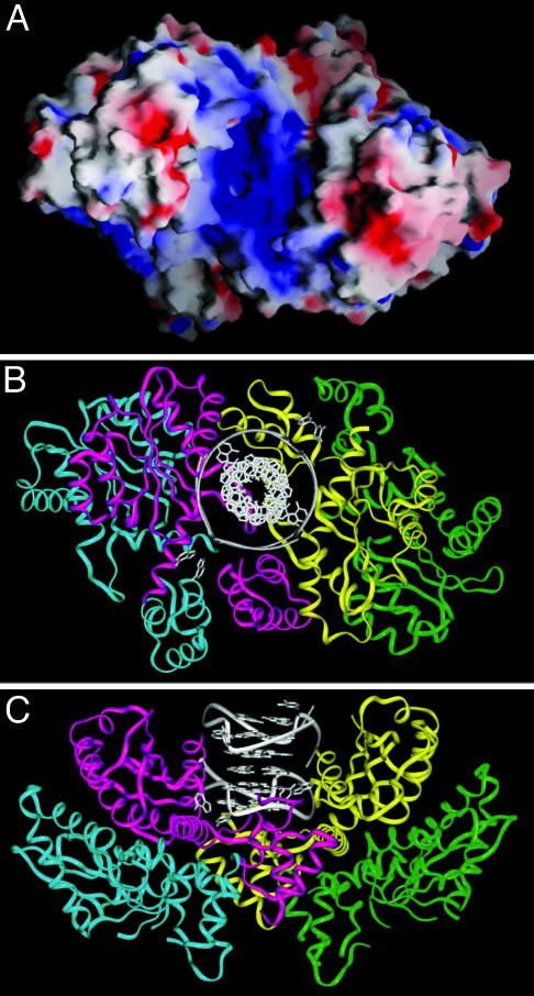 Fig. 5.