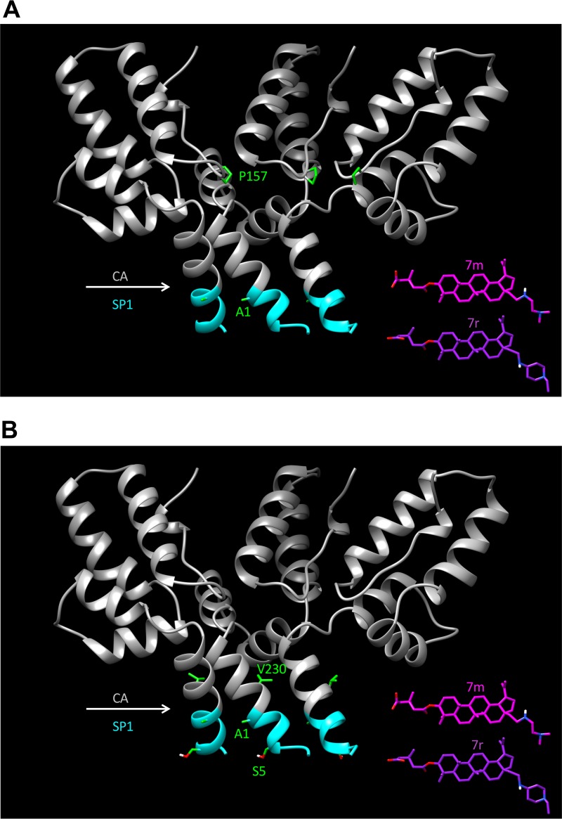 FIG 14