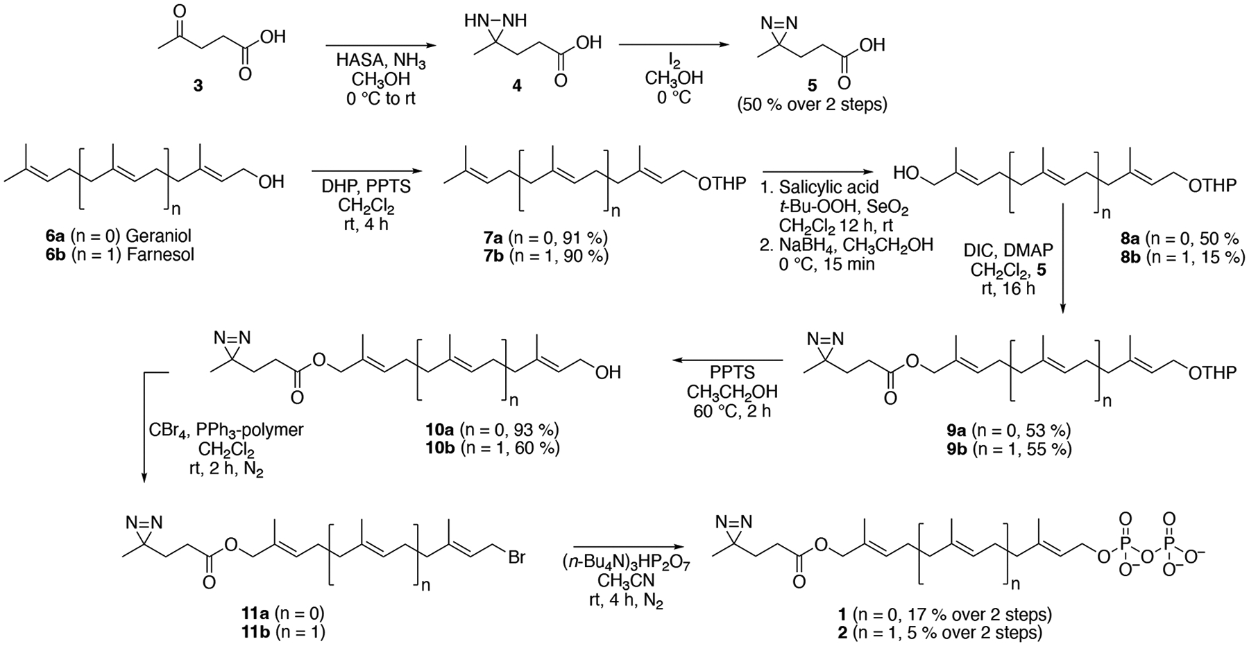 Scheme 1.