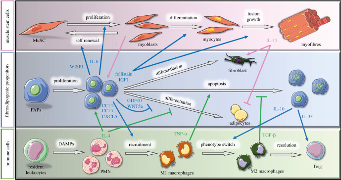 Figure 3. 