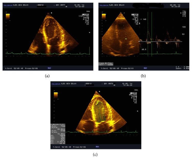 Figure 1