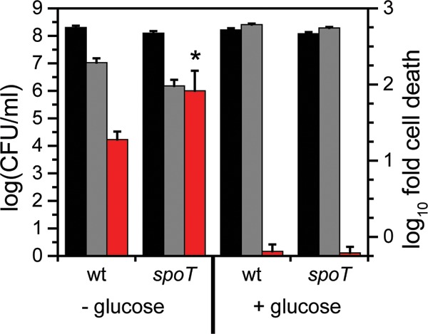 FIG 8