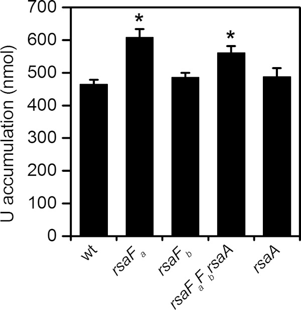 FIG 6