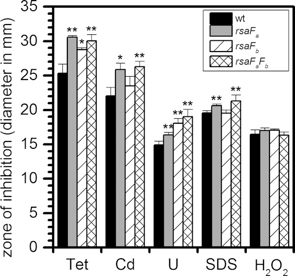 FIG 7