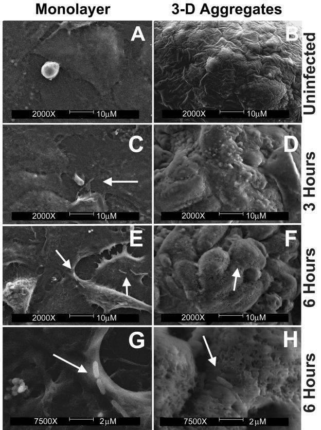 FIG. 8.