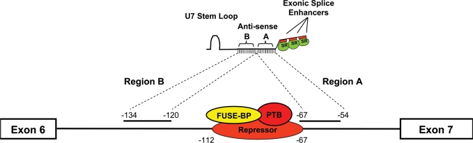 Figure 3.