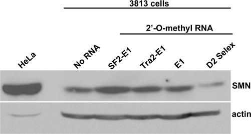 Figure 6.