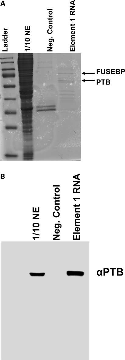 Figure 2.