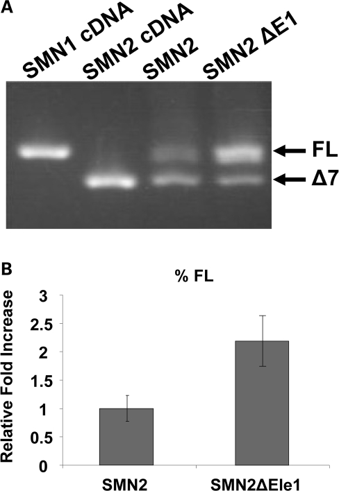 Figure 1.