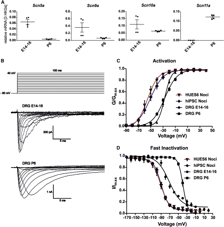 Figure 3