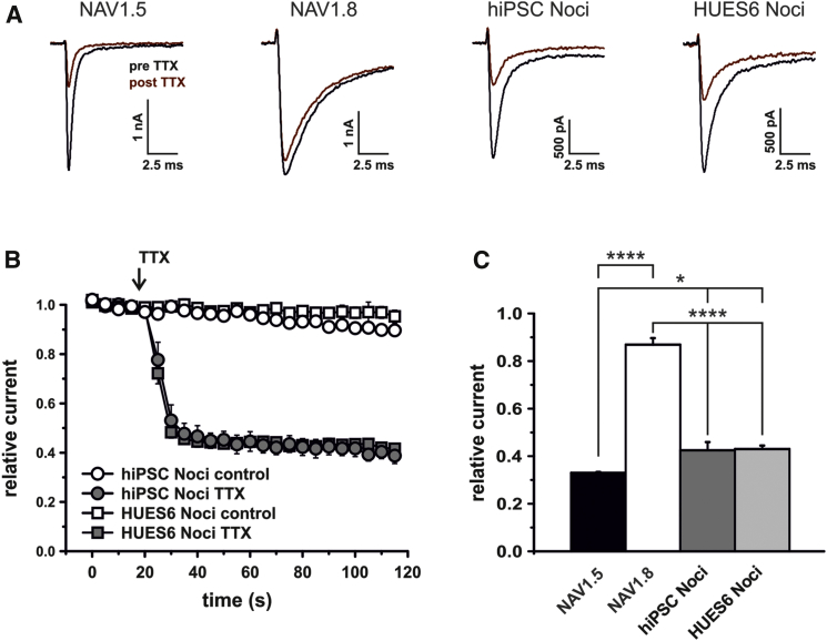 Figure 4