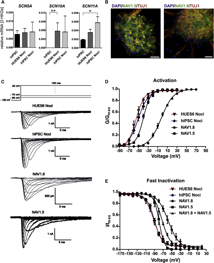 Figure 2