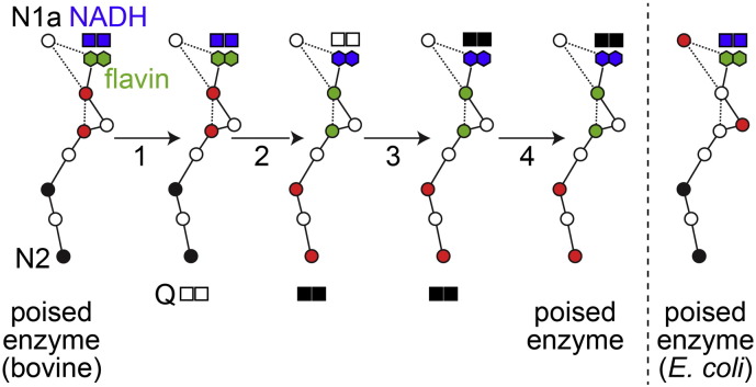 Scheme 2