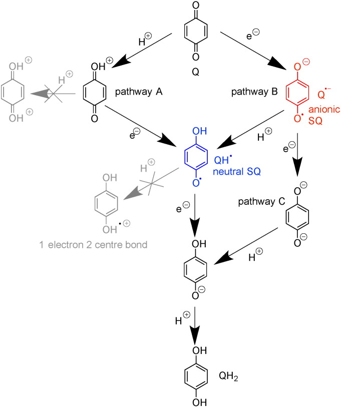 Scheme 3