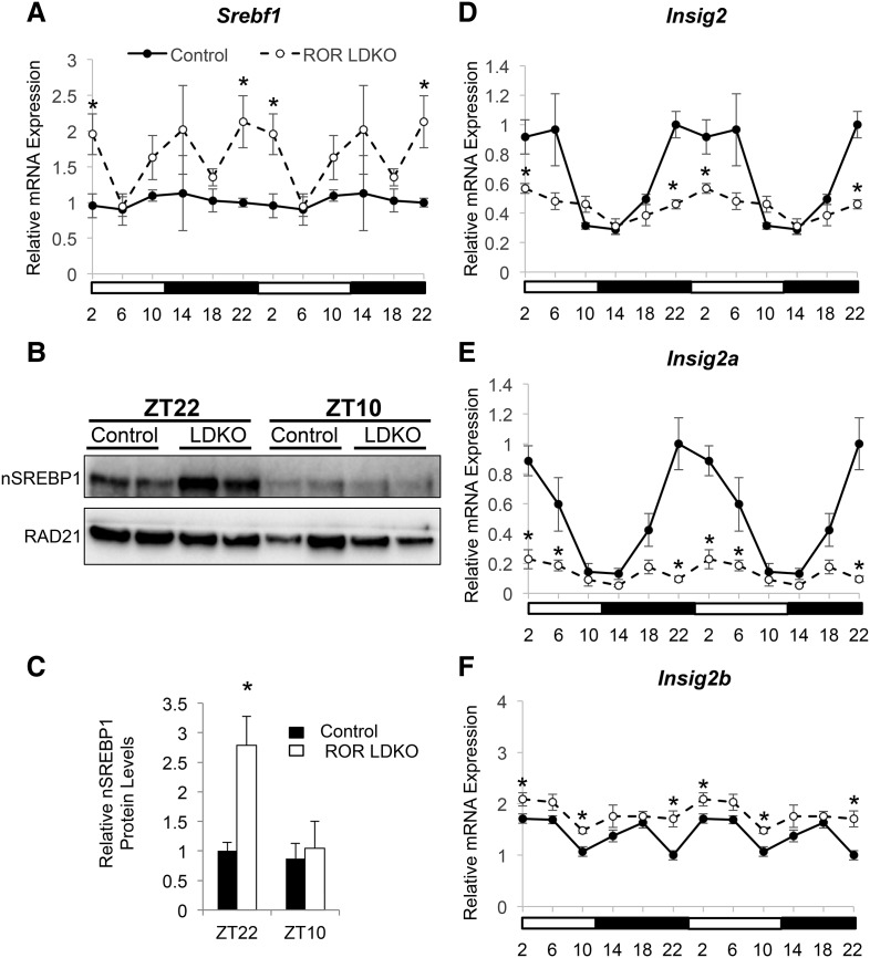 Figure 5.