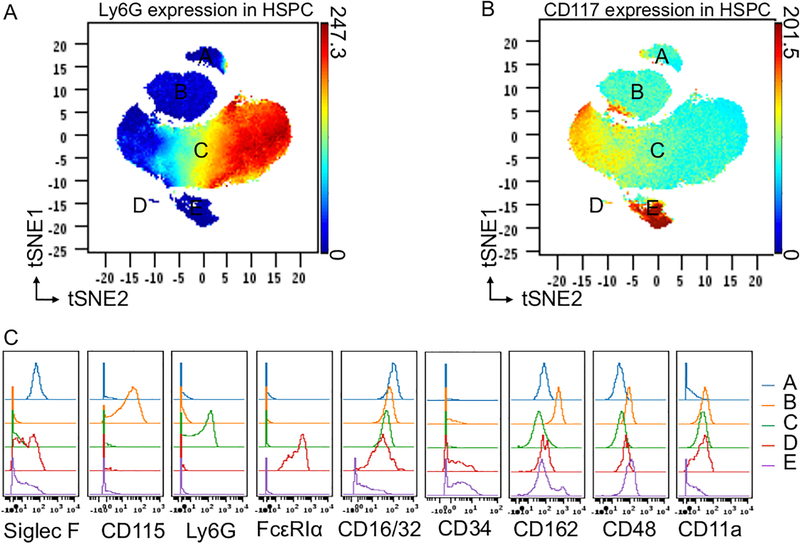 Figure 2: