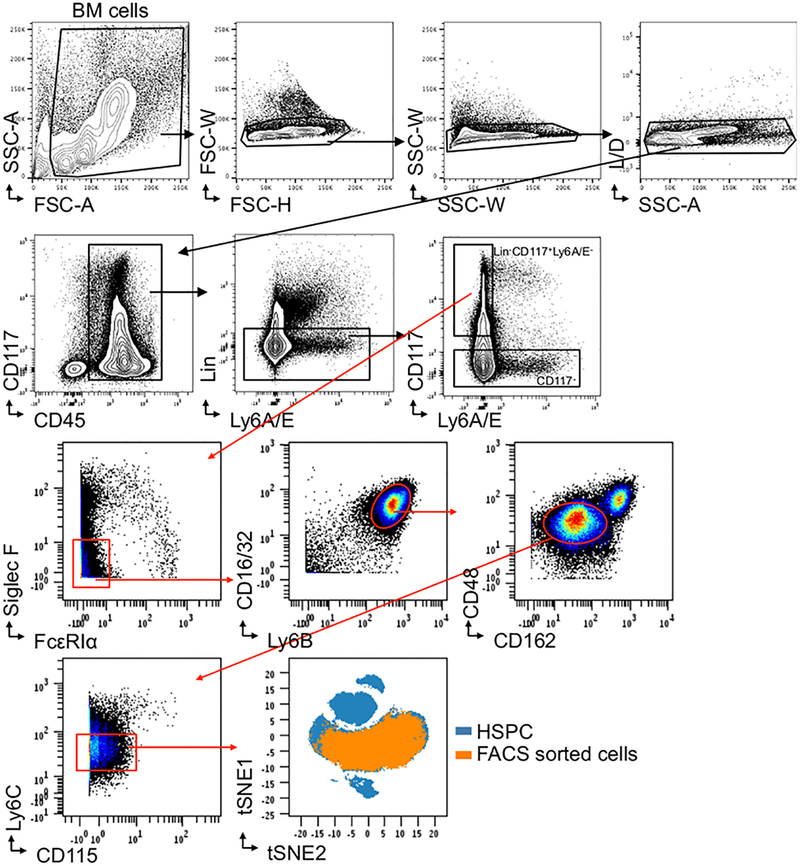 Figure 3: