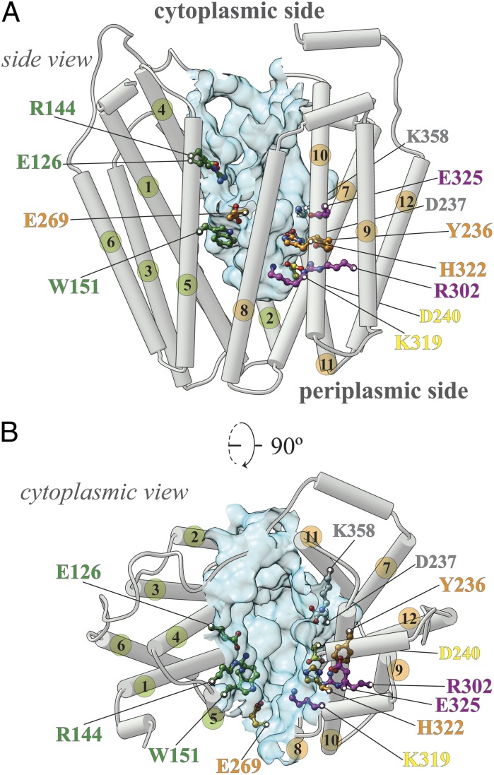 Fig. 1.