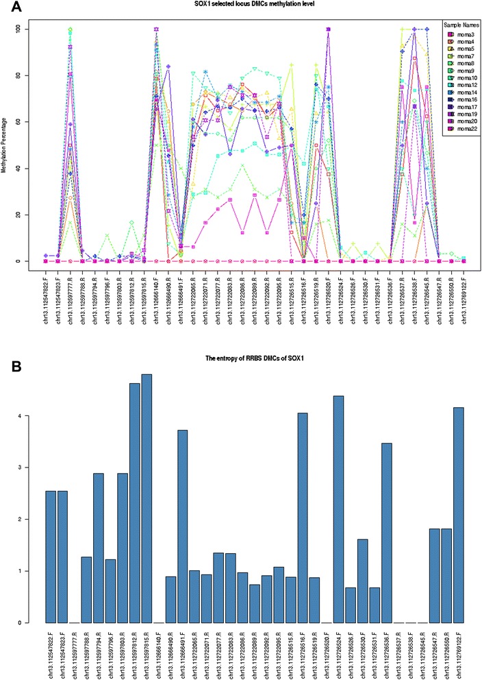 Figure 6