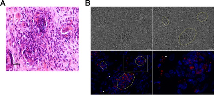 FIG 5