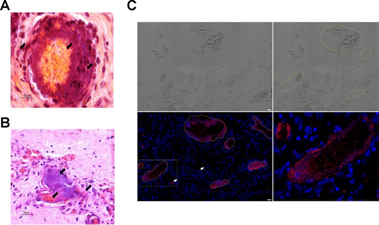 FIG 4