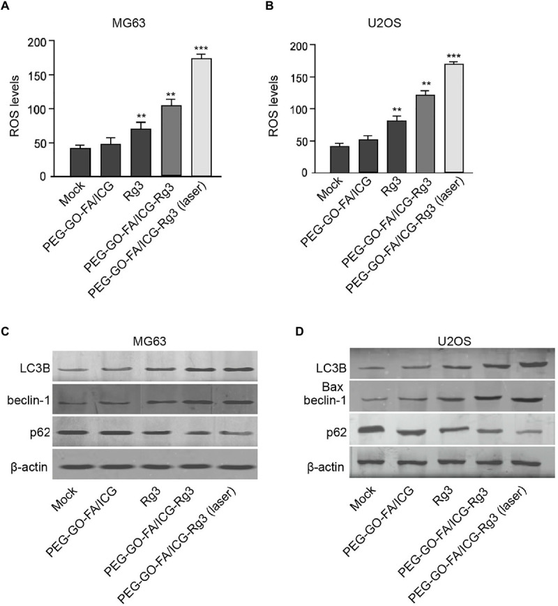 FIGURE 4