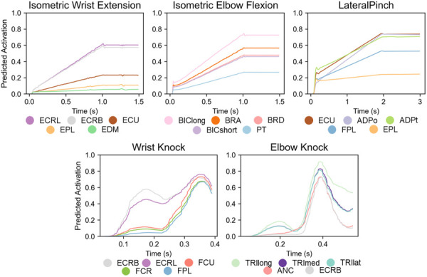 Predicted muscle activations versus time for the five highest activations within each task. Note, the illustrated muscles vary across tasks and displayed data has been filtered. The sloped portion of the isometric tasks illustrates the force ramp required to achieve the target force achieved at the plateau.