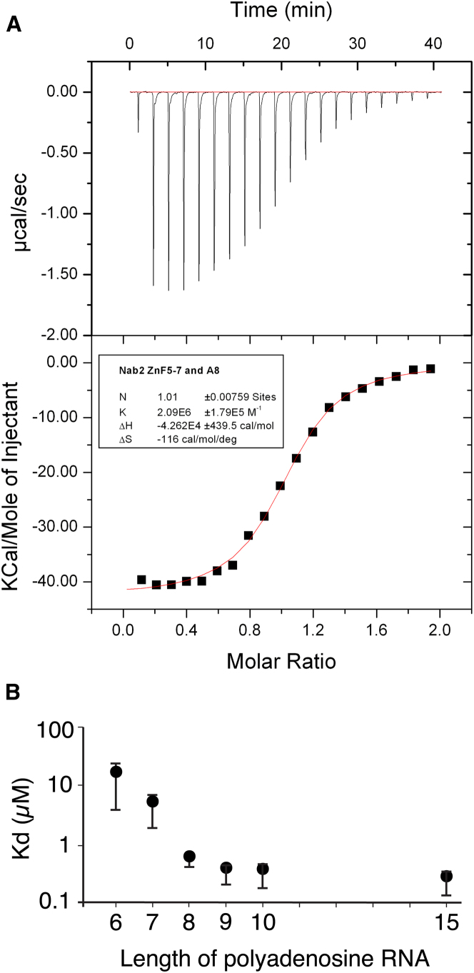 Figure 4