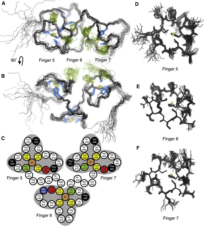 Figure 1