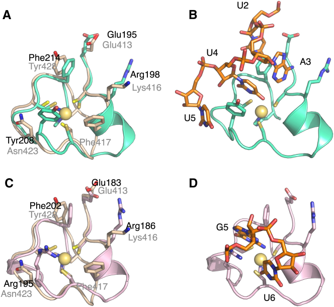 Figure 3