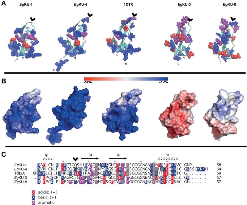 Fig 10