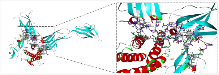 Figure 9