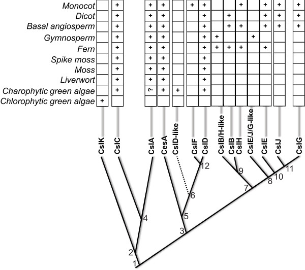 Figure 7