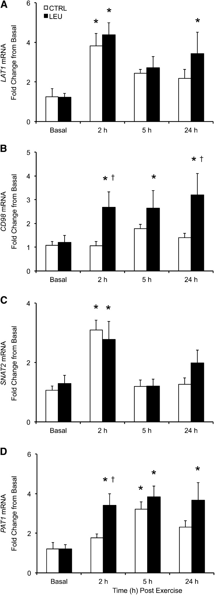 FIGURE 4