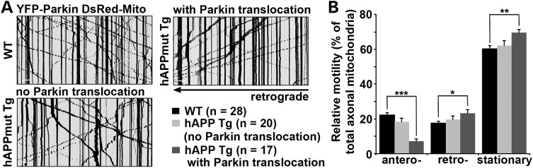 Figure 3.