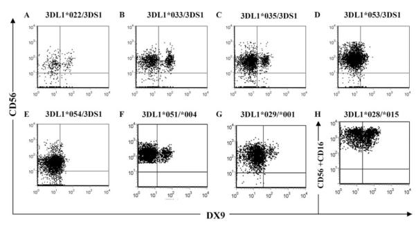 FIGURE 3