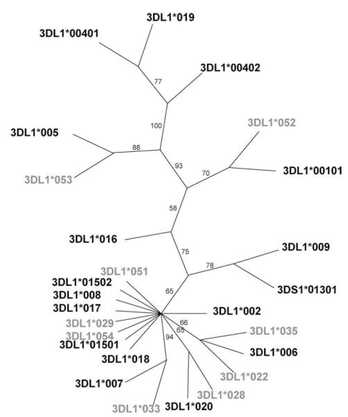 FIGURE 2