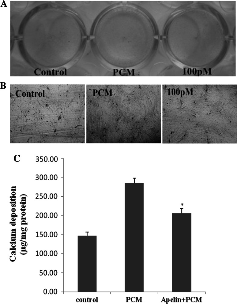 Fig. 4