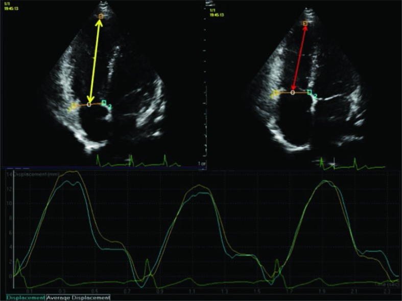 Fig. 6