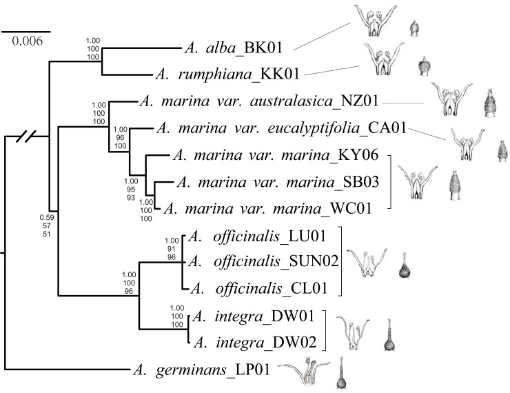 Fig 2